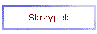 Skrzypek