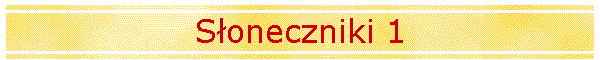 S�oneczniki 1