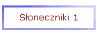 Słoneczniki 1