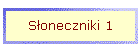 S�oneczniki 1