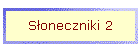 S�oneczniki 2