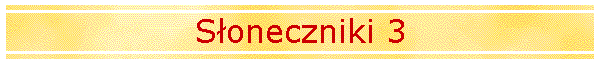 S�oneczniki 3