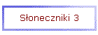 Słoneczniki 3
