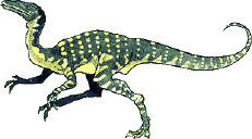 Coelophysis