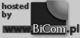Provided by BiCom.pl