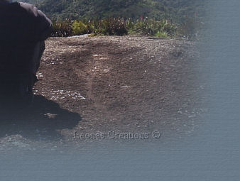 No use mis headers en foros, blogs o emails como sigtags