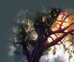 countryhead2_1x1.jpg - 43701 Bytes