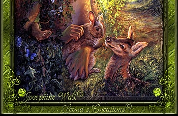 woodnymphhead2_2x1.jpg - 85151 Bytes