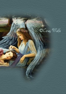 protectiontop2.jpg (23482 bytes)