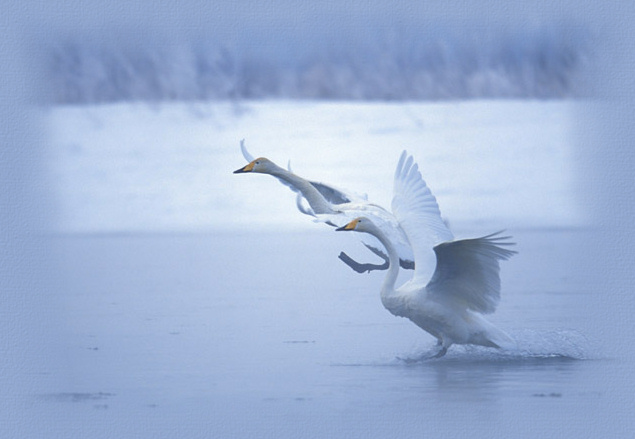 &copy;www.comteche.com