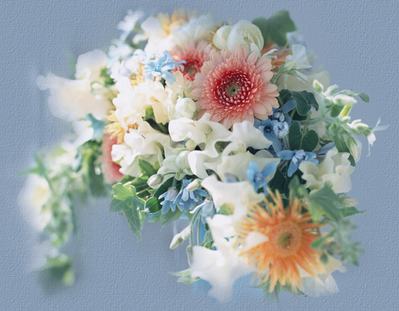 &copy; www.comteche.com