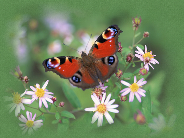 &copy;www.comteche.com